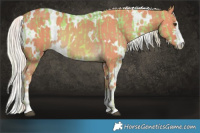 Horse Color:Watercolor White Spotted Palomino  and Watercolor White Spotted Palomino 
