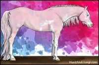 Horse Color:Watercolor Cremello Sabino and Watercolor Cremello Sabino