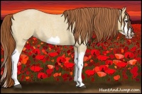 Horse Color:Red Dun Roan Splash Frame Rabicano