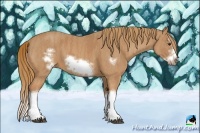 Horse Color:Chestnut Splash Frame  Brindle