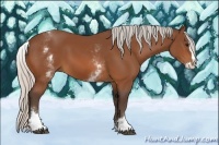 Horse Color:White Spotted Silver Bay Splash