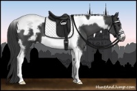 Horse Color:Smoky Black Tobiano Frame 