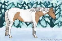 Horse Color:Silver Buckskin Tobiano 
