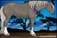 Horse Color:Silver Smoky Black 