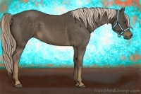 Horse Color:Chocolate Palomino 