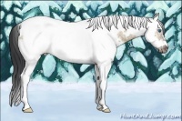Horse Color:White Spotted Brown Dun Splash Tobiano Frame Rabicano