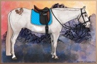 Horse Color:Chestnut Sabino Frame Appaloosa 