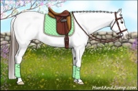 Horse Color:Liver Chestnut Splash Appaloosa 