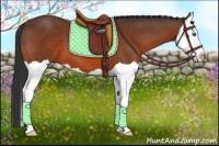 Horse Color:Bay Splash 