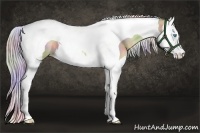 Horse Color:Nacre Chocolate Palomino Pearl Splash Tobiano 