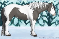 Horse Color:Grullo Splash Tobiano