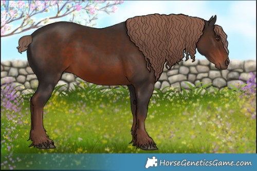 Horse Color:Liver Chestnut 