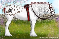Horse Color:Liver Chestnut Appaloosa