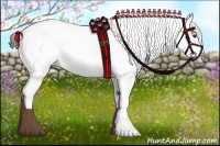 Horse Color:White Spotted Liver Chestnut Appaloosa