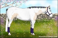 Horse Color:Silver Buckskin Pearl Splash Tobiano 