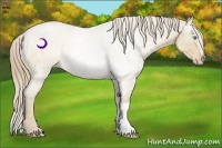 Horse Color:Perlino Rabicano