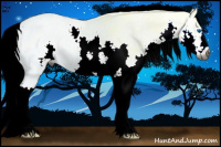 Horse Color:Gray Buckskin Ice Splash 