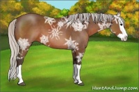 Horse Color:Silver Brown Ice Splash 