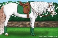 Horse Color:Bay Dun Splash Appaloosa