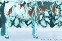 Horse Color:Thunderstruck White Spotted Brown Tobiano 