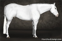 Horse Color:Watercolor White Spotted Silver Bay Splash Tobiano Appaloosa 
