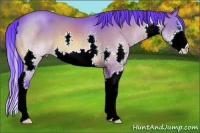 Horse Color:Watercolor Bay Splash