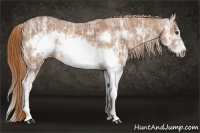 Horse Color:Chestnut Ice Sabino Frame