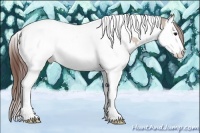Horse Color:Bay Dun Splash Tobiano Snowcap