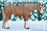 Horse Color:Chestnut Ice Splash 