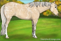 Horse Color:Silver Buckskin Ice 