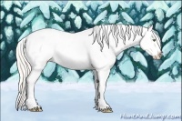 Horse Color:Silver Amber Champagne Roan Dun Splash Tobiano Frame Appaloosa Rabicano 