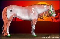 Horse Color:Watercolor White Spotted Liver Red Onyx 
