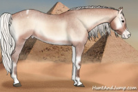 Horse Color:Silver Brown Onyx Appaloosa 