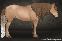 Horse Color:Brown Pearl Rabicano