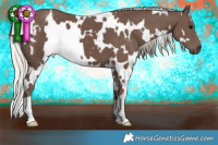 Horse Color:White Spotted Silver Black