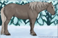 Horse Color:Silver Black 