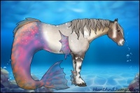 Horse Color:White Spotted Chocolate Palomino Onyx 