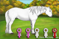 Horse Color:Gray Bay Dun 