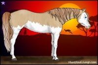 Horse Color:Red Dun Splash Brindle
