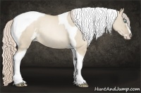 Horse Color:Chocolate Palomino Pearl Dun Sabino Tobiano Rabicano