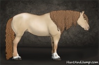 Horse Color:Liver Red Dun Pearl Sabino Rabicano