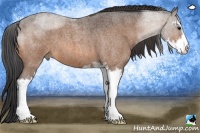 Horse Color:Buckskin Roan Sabino 