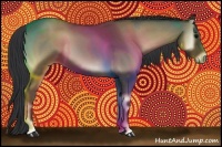 Horse Color:Blue Onyx Roan 