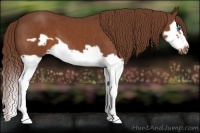 Horse Color:Chestnut Splash Frame