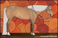 Horse Color:Silver Buckskin Roan 