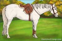 Horse Color:Perlino Roan 