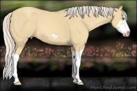 Horse Color:Silver Classic Champagne Dun Splash Frame 