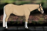 Horse Color:Silver Buckskin Roan Splash