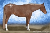 Horse Color:Chestnut Varnish 