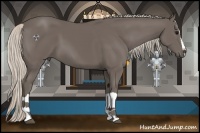 Horse Color:Silver Black Splash